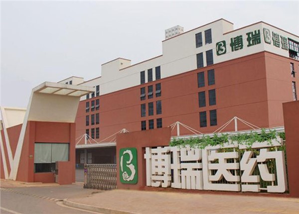 湖南博瑞醫(yī)藥產(chǎn)業(yè)園遠程預(yù)付費系統(tǒng)